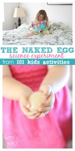 egg-science-experiment