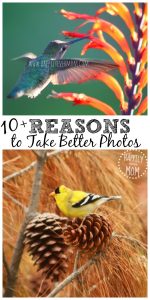 take-better-photos